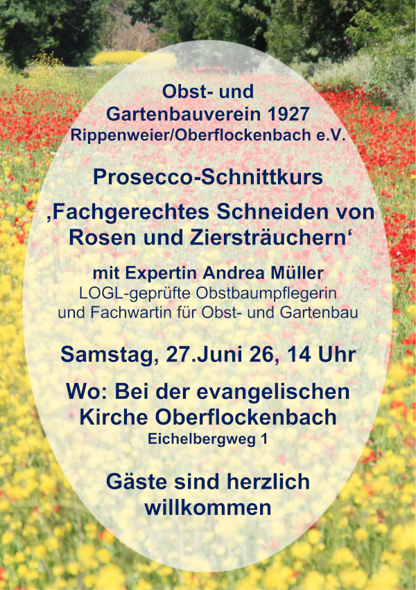 Einladung-Prosecco-Schnittkurs_600 Einladung-Prosecco-Schnittkurs_600