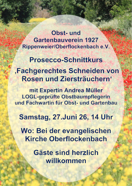 Einladung-Prosecco-Schnittkurs_600