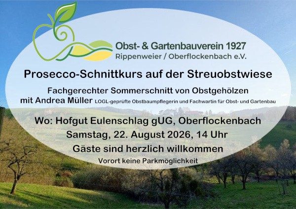 Prosecco-Schnittkurs Prosecco-Schnittkurs