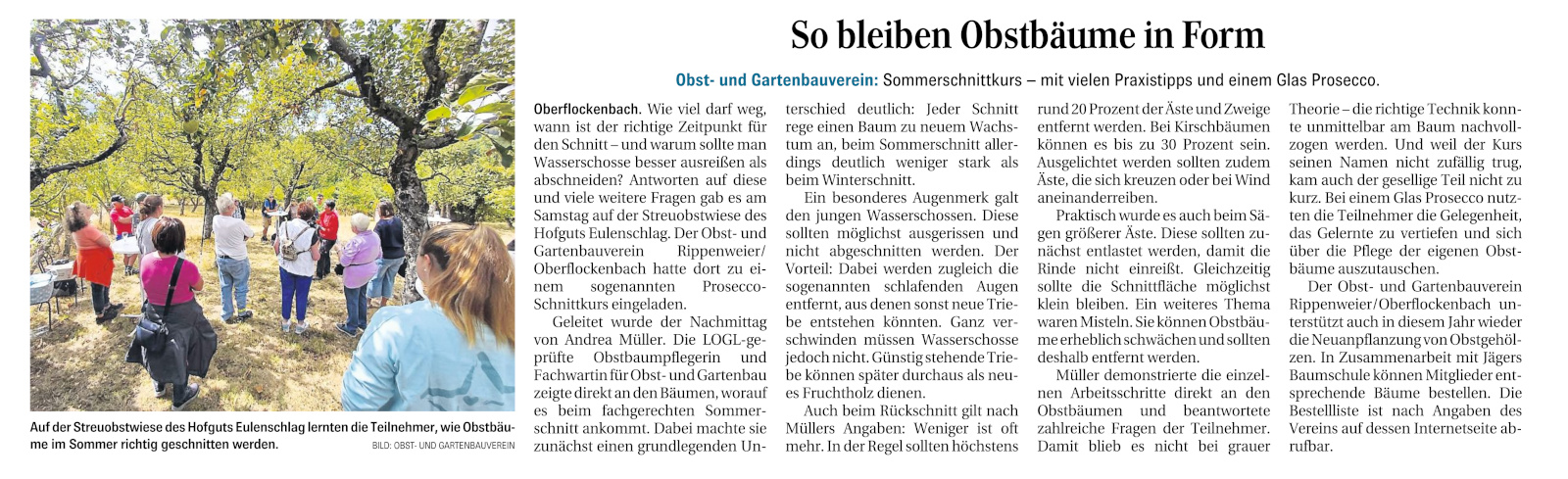 WN-Sommer-Schnittkurs-Augusrt-2026